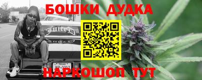прущие крисы Будённовск