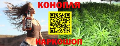 прущие крисы Будённовск
