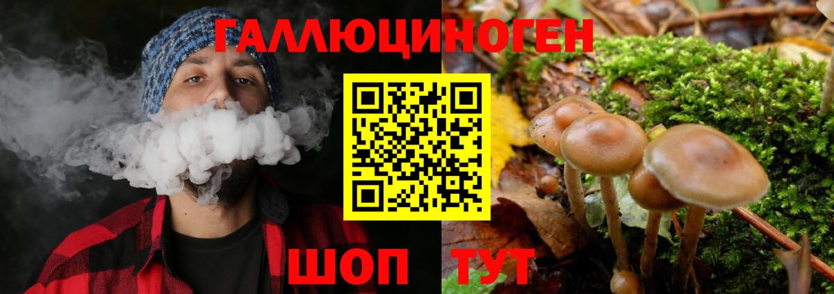 Галлюциногенные грибы прущие грибы  Псилоцибиновые грибы Psilocybe  Вход с VPN  Саянск 